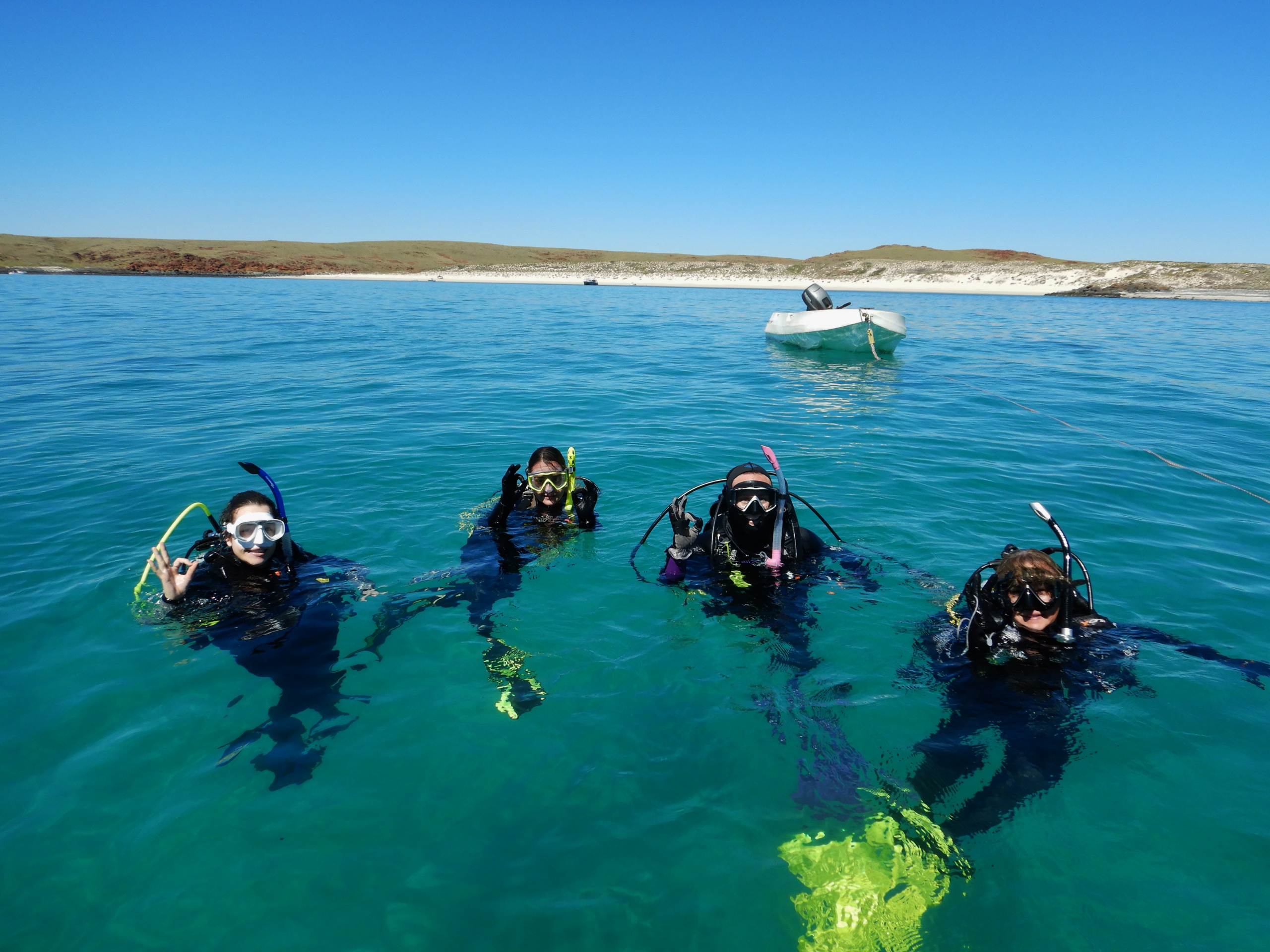PADI Open Water Course Gift Certificate - Shore & Boat