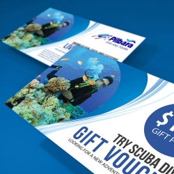 $250 Gift Voucher