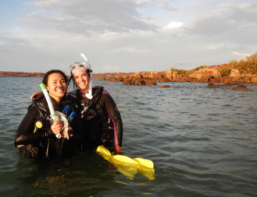 10 Scuba Diving Health Benefits