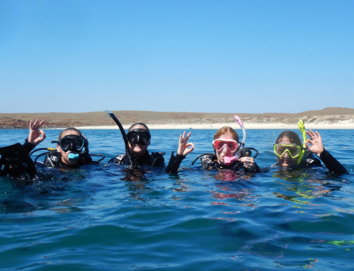 Learn to Scuba Dive in KARRATHA, WESTERN AUSTRALIA