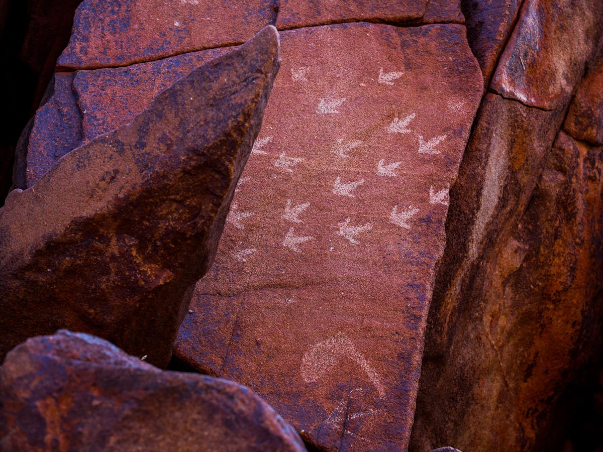 Murujuga Roct Art Pilbara