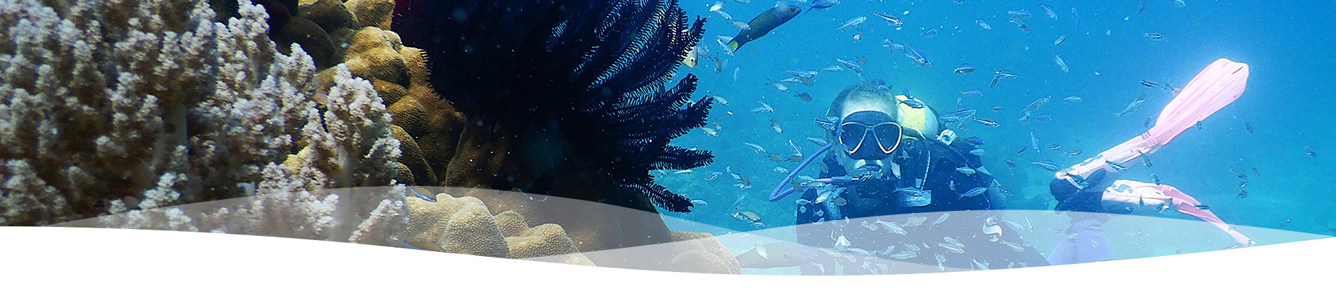 Pilbara Dive and Tours