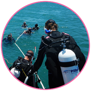Open Water PADI Dive Course