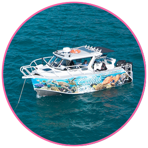 Private Boat Charters