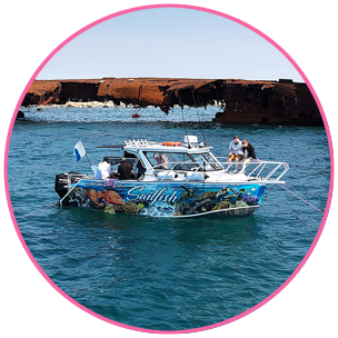 Ultimate Dive Tour